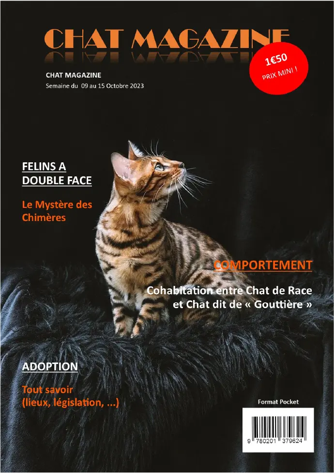 Couverture de magazine réalisée en design éditorial avec mise en page graphique et composition visuelle autour d’un chat.